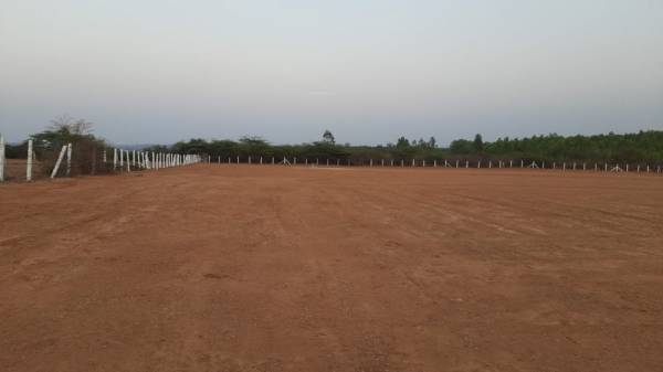 Elevation paradise-city Elevation