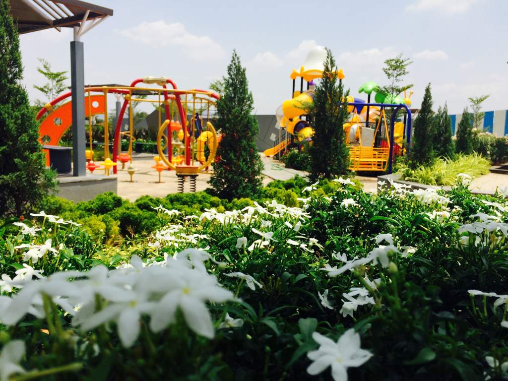  v uptown Landscape Garden and Tree Planting