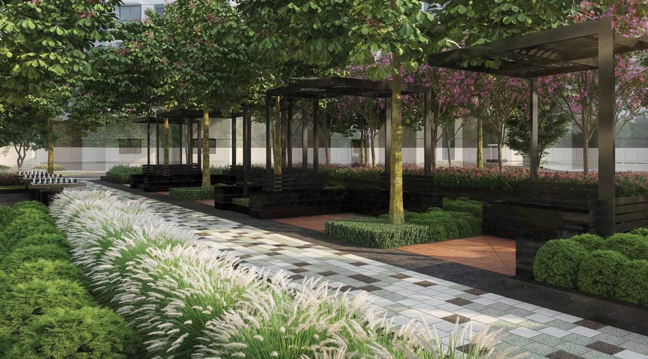 ascend phase 1 Others