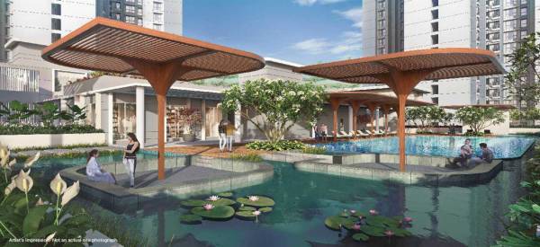  ascend-phase-1 Swimming Pool