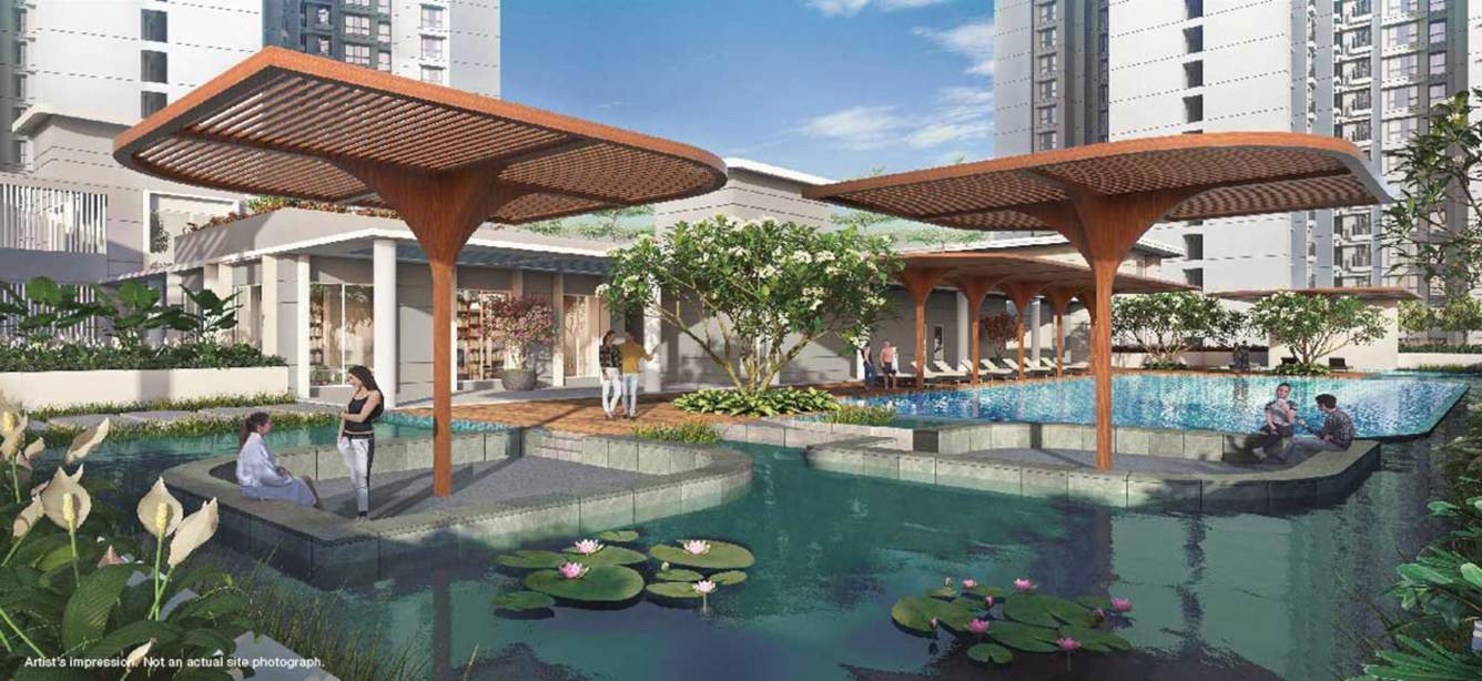 ascend phase 1 Swimming Pool