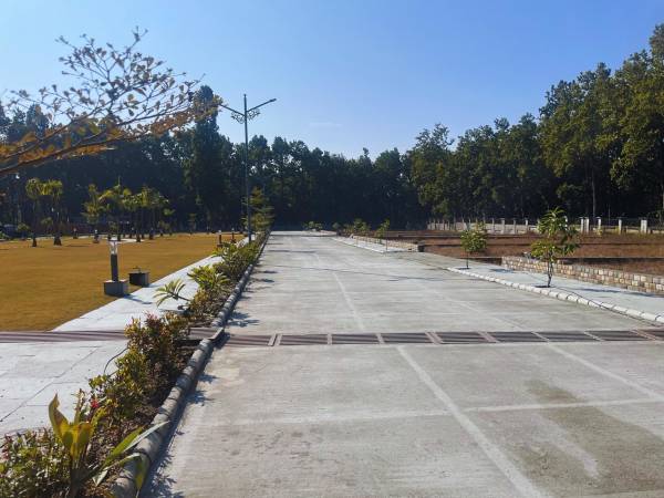 Plot dishaa-forest Plot