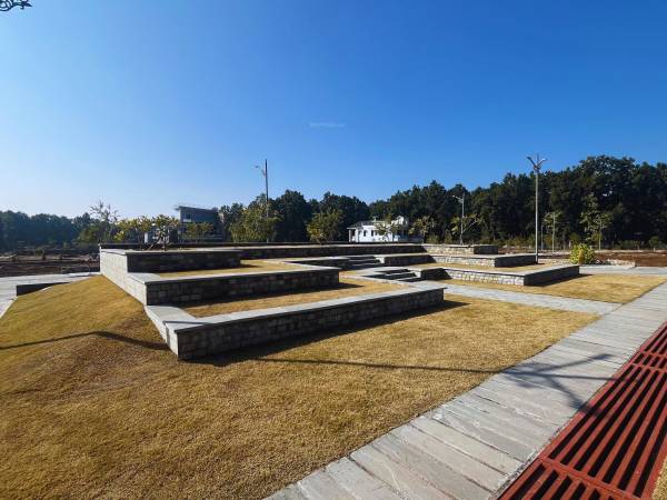 Plot dishaa-forest Plot