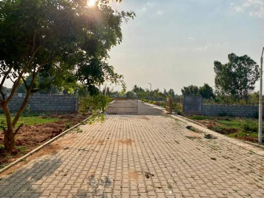 avani-lakeview Elevation Elevation