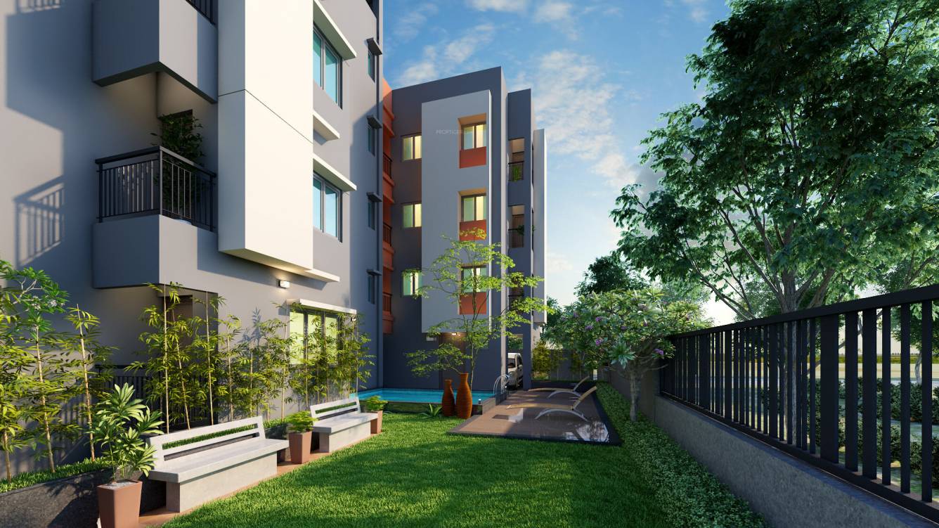  nectar Senior Citizen Sitout