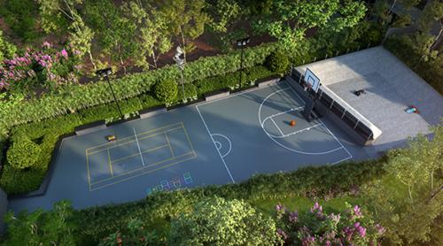  amberley Basketball Court
