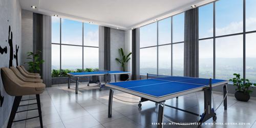  pallaciya Table Tennis