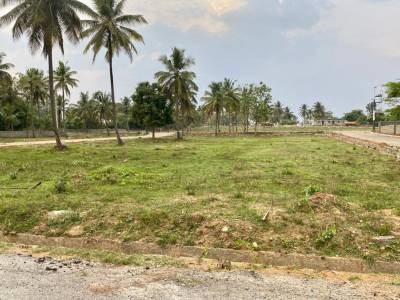  nimishadri-envlave Elevation