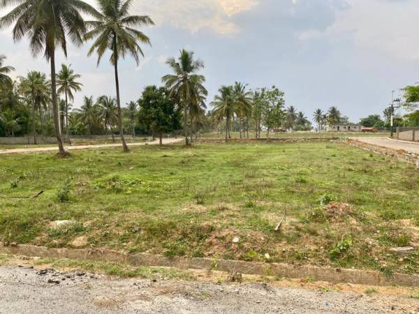  nimishadri-envlave Elevation