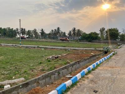  nimishadri-envlave Plot