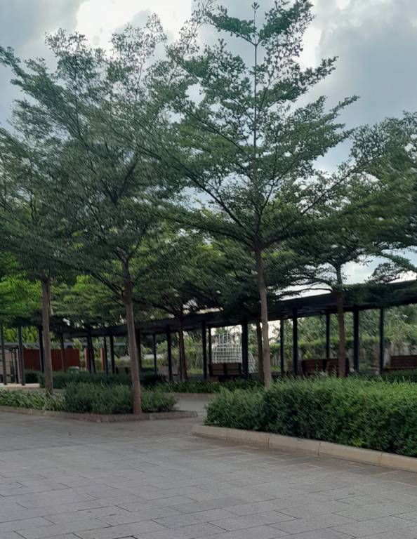  earthsong phase 3 Internal Roads & Footpaths