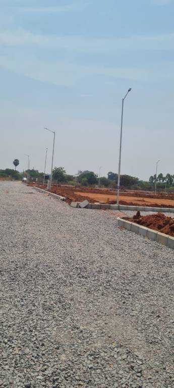  richmond county Plot