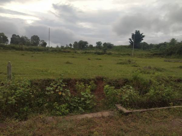 Elevation vimal-plots-and-bungalows Elevation