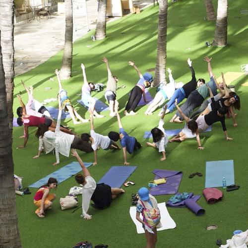  shiv-lilam Yoga/Meditation Area