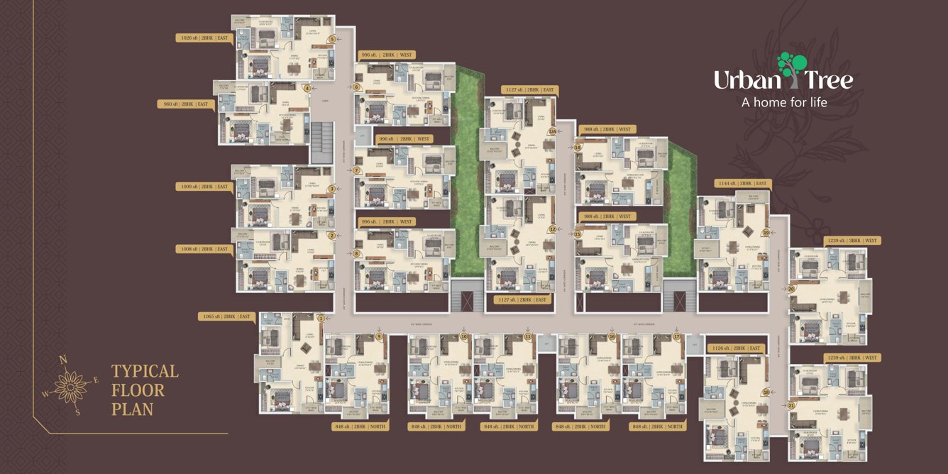  urban tree MPH Urban Park Cluster Plan