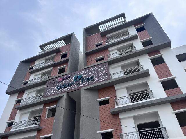  urban tree MPH Urban Park Construction Status Nov 24