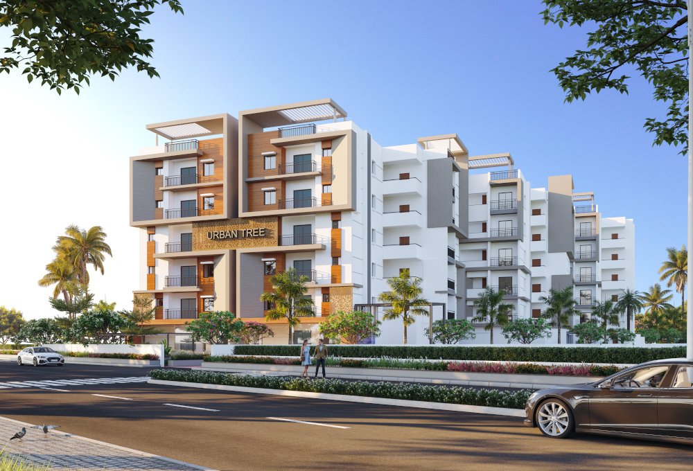  urban tree Elevation