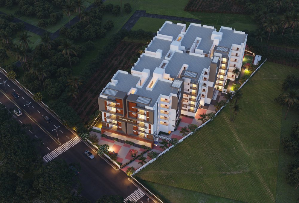  urban tree Elevation