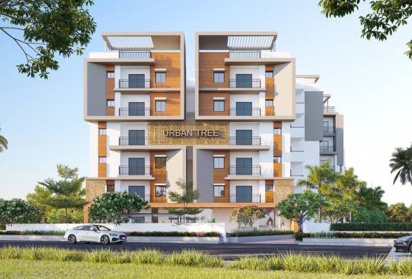  urban-tree Elevation