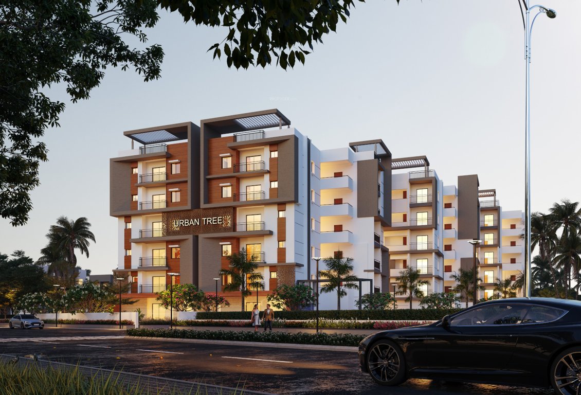  urban tree Elevation