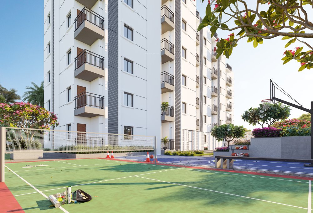  urban tree Badminton Court