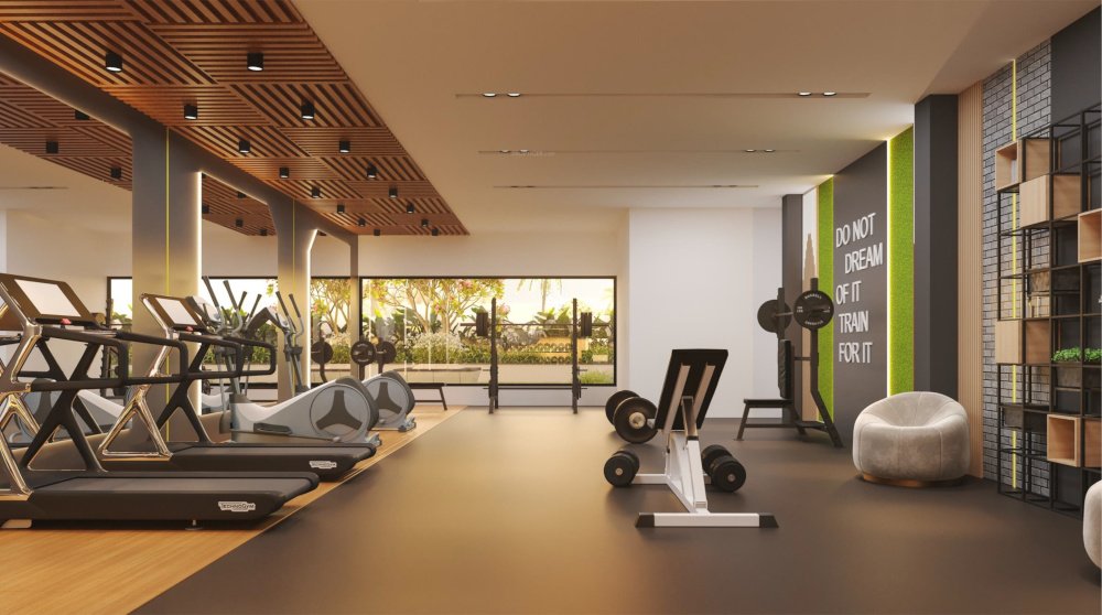  urban tree Gymnasium