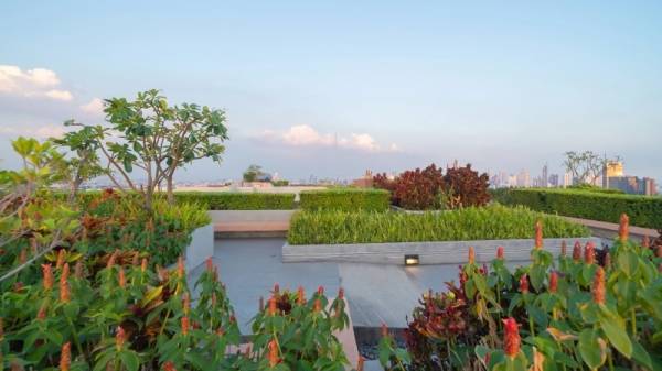 amenities of The Silver Altair