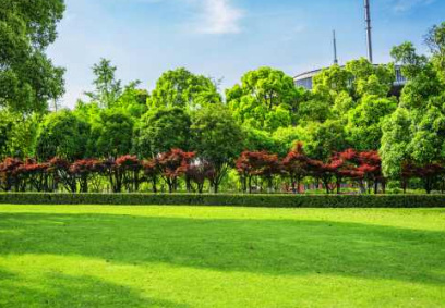 Party Lawn aakarshan-phase-1 Party Lawn