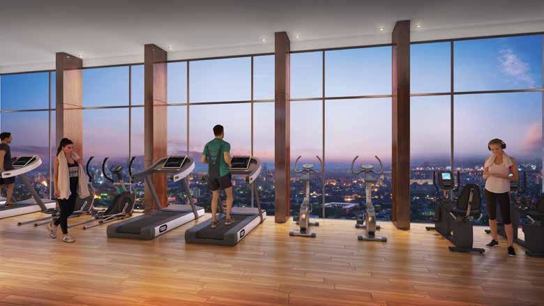  horizon phase i Others