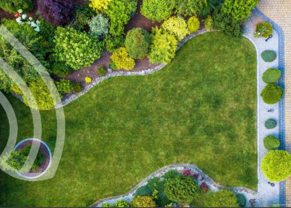 Others greenberg Others