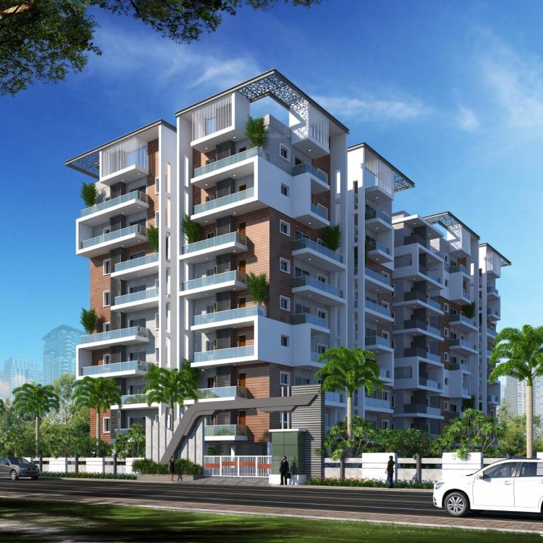  opus blues Elevation