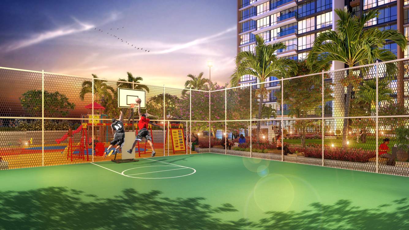  peace of mind Basketball Court