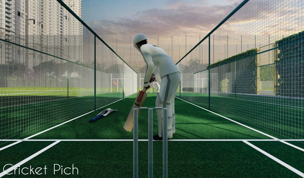  monsella Cricket Pitch