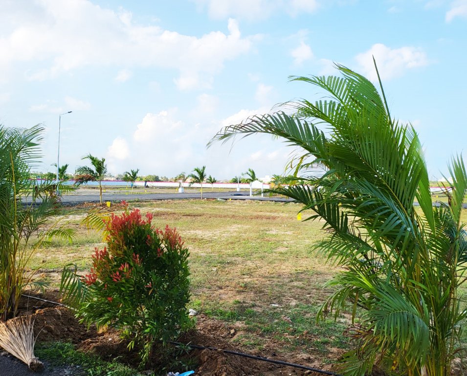  jjs garden phase ii Plot