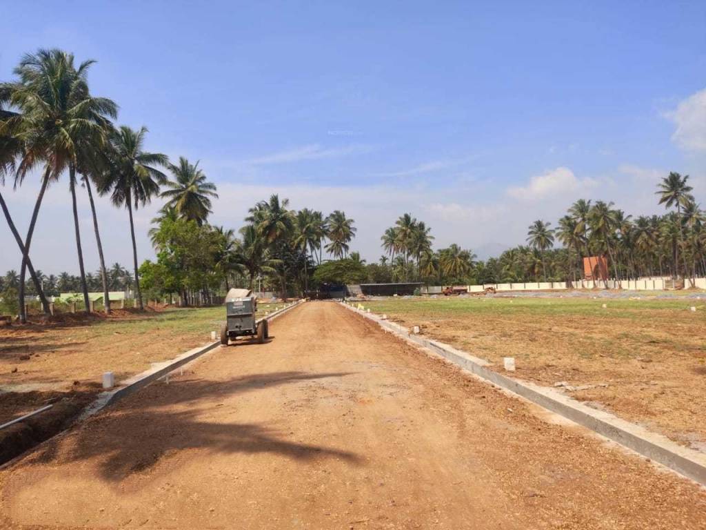  vijay nakshatra Others