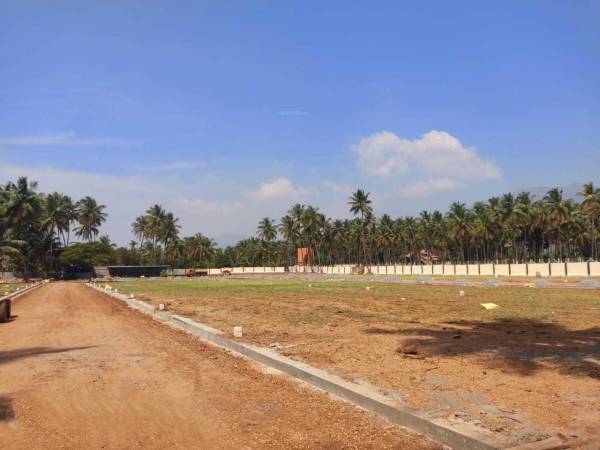 Others vijay-nakshatra Others