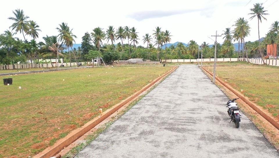  vijay nakshatra Plot