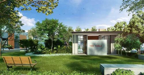  soul-and-soil-phase-2b Table Tennis