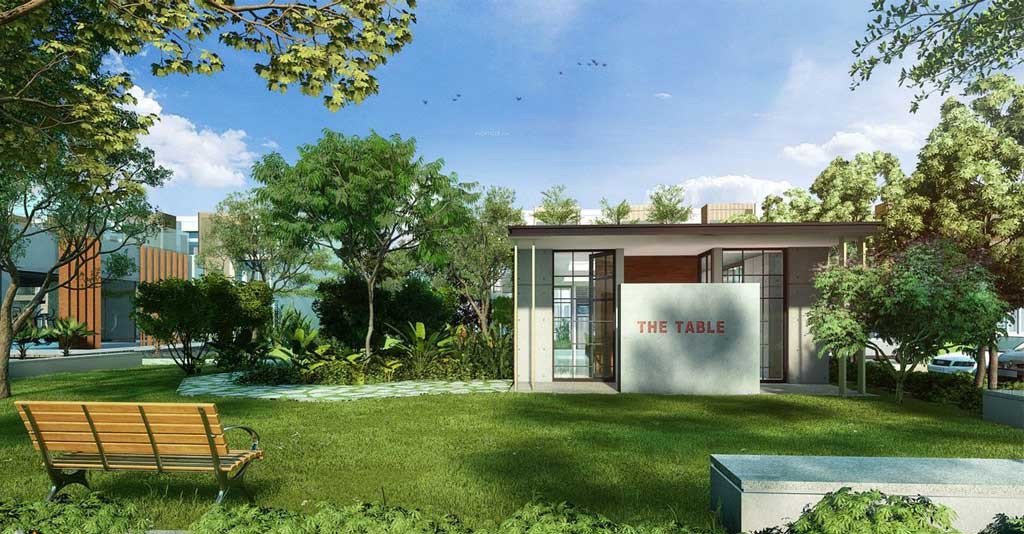  soul and soil phase 2b Table Tennis