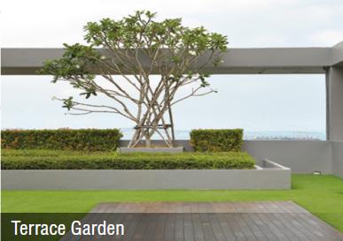  shreyas Terrace Garden