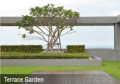  shreyas Terrace Garden