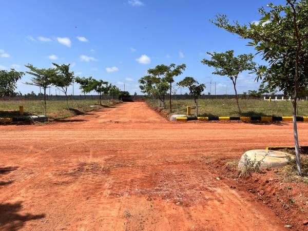  shiva-nandi-phase-2 Plot