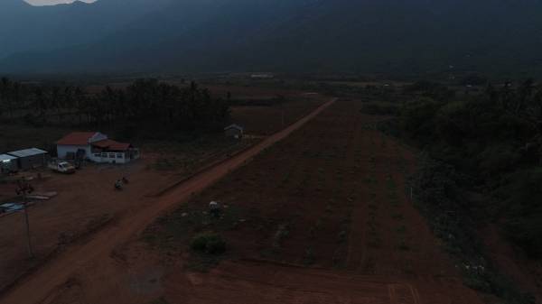 chettinad-farms Plot