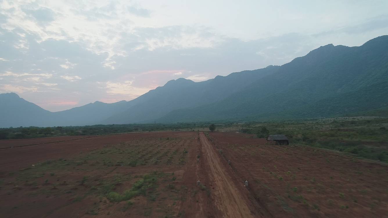  chettinad farms Plot
