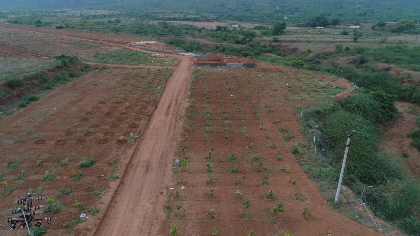  chettinad farms Plot