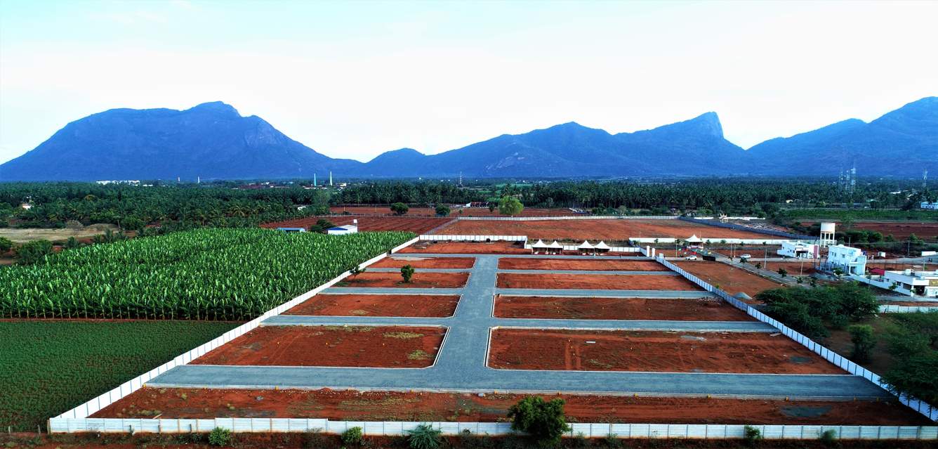  sai green garden Plot
