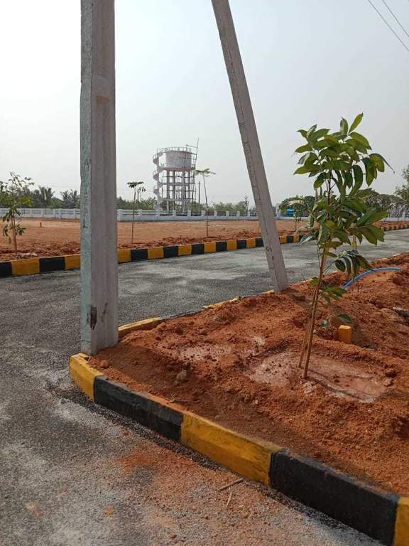  heights Plot