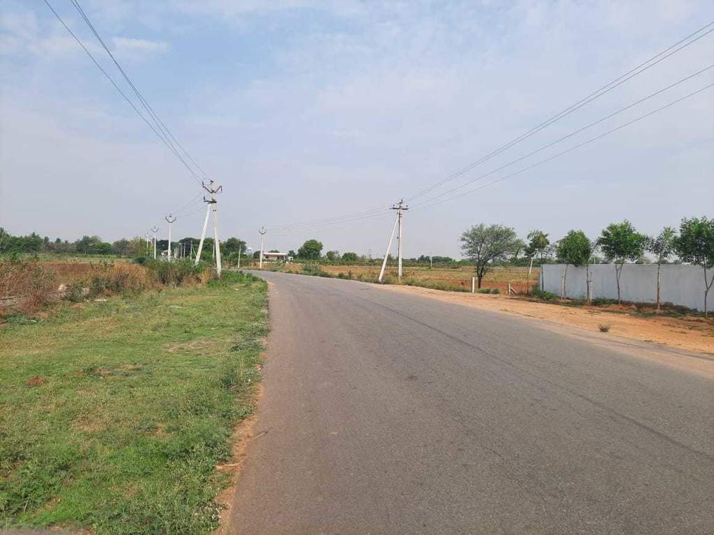  heights Plot