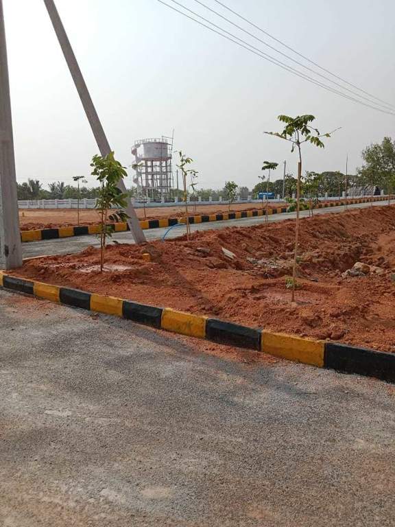  heights Plot