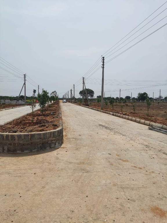  heights Plot